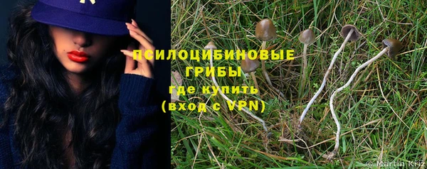 мдпв Горно-Алтайск