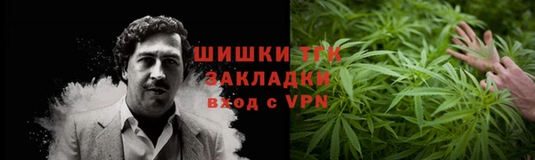 мдпв Горно-Алтайск