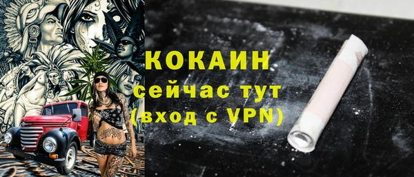 мдпв Горно-Алтайск