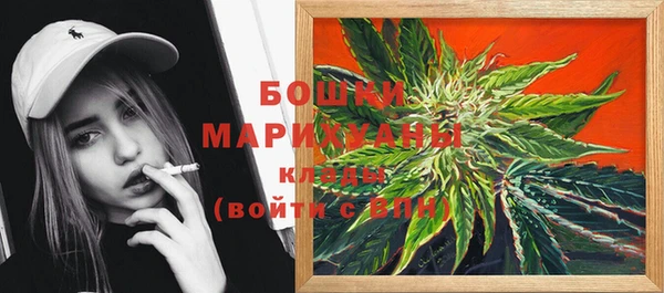 мдпв Горно-Алтайск