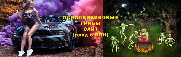 бошки Горнозаводск