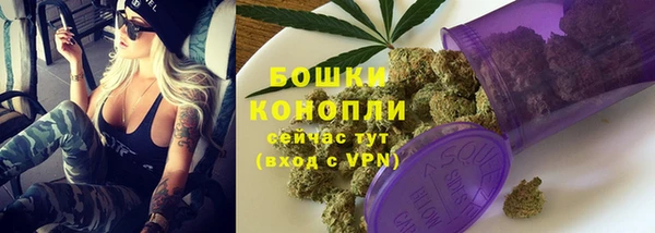 мдпв Горно-Алтайск